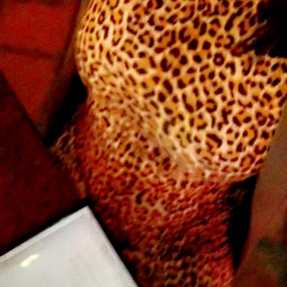 Long sleeve high neck cheetah dresses